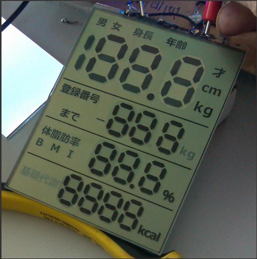 數字顯示LCD產品 LCD液晶屏-TN